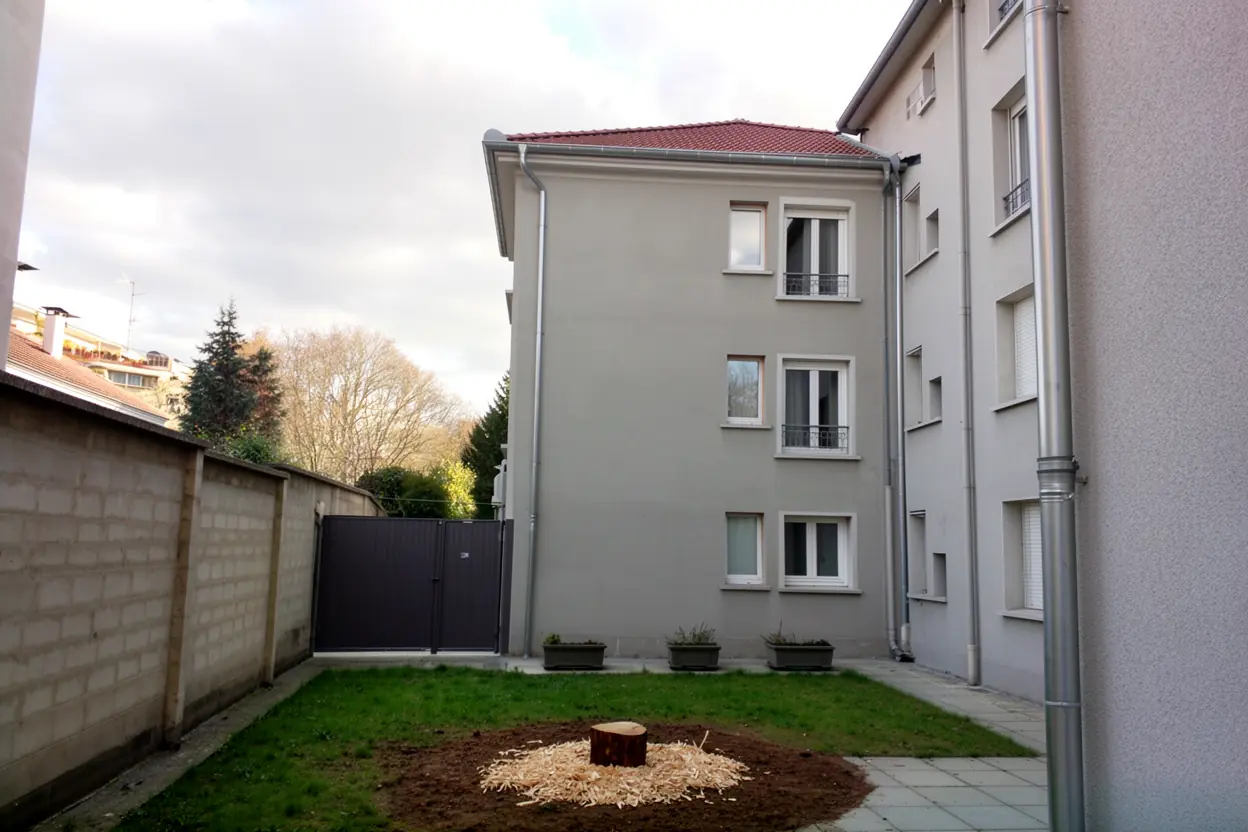 Cour dégagée après démontage contrôlé du conifère à Villeurbanne