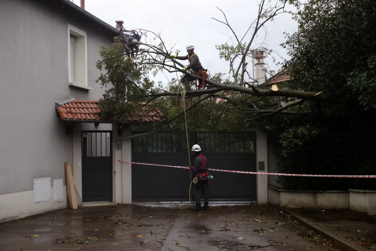 Élagueur sécurisant une branche cassée après orage à Bron